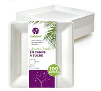 GoBeTree 100 Assiette Jetable Carrée Grande 26 cm Canne à Sucre | Assiettes carrées blanches et élégantes en bagasse pour plats principaux, barbecue, viande, paella et pizza, rigides