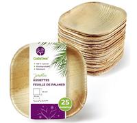 GoBeTree 25 Petites Assiettes Dessert Jetables Feuille de Palmier 10 cm | Mini Assiettes Format Paume de Main pour Tapas, Sushi et Mignardises, Veinage Similaire au Bambou - pas une Assiette Plate