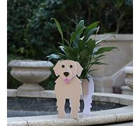 Gochoi Petit pot de fleurs rectangulaire en PVC avec motif Golden Retriever - Pour l'extérieur et l'intérieur - Pour plantes grasses - Décoration S - Golden Retriever