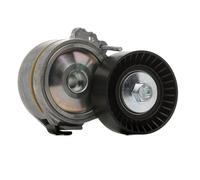 goCORE GCC100002 Poulie, tendeur de courroie d'accessoire