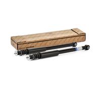 goCORE GCH540762 Amortisseur