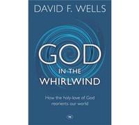 God in the Whirlwind by David F Wells David F Wells (Auteur)
