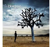 God of This City by Bluetree (2009) Audio CD