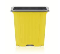 Godet horticole 7x7x6,5cm jaune - Teku