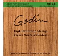 Godin Strings Acoustic Guitar LT