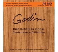Godin Strings Acoustic Guitar MD