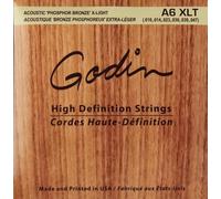 Godin Strings Acoustic Guitar XLT
