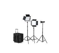 Godox Kit LED1000Bi II + S30