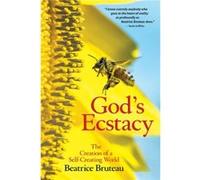 Gods Ecstasy The Creation of a SelfCreating World by Beatrice Bruteau Beatrice Bruteau (Auteur)