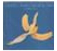 God's Greatest Banan Skin