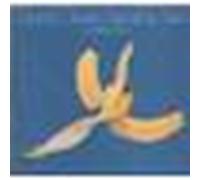 God's Greatest Banan Skin