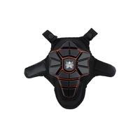 God's Ordinance, The Saint's Privilege, Discovered And Prov'd In Two Treatises: The First, The Saints Interest By Christ In All The Priviledges Of Gra