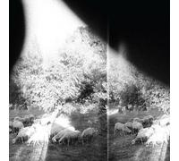 Godspeed You Black - Asunder Sweet & Other Distress [New Vinyl LP] 180 G