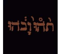 Godspeed You Black Emperor - Slow Riot for New Zéro Kanada