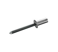 GOEBEL® - 250 x Rivets étanches (Ø x L) 4,8 x 11 mm - Aluminium AlMG 5,0/ Acier zingué - Tête fraisée - CUP - 2171148110 - ISO15974