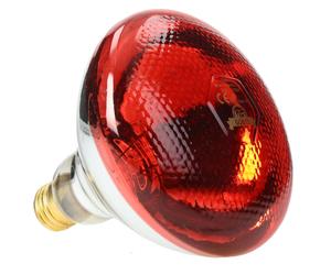 Göbel Ampoule infrarouge économique Philips 175 W lampe chauffante rouge de PHILIPS