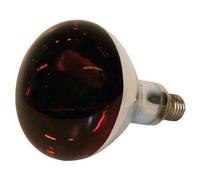 Göbel Ampoule infrarouge en verre trempé 250 W 230 Volt, E27