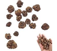 GOEDCH 100 g de fruits comme jouet pour chat : Matatabi Jouet à fruits pour chat Jouet naturel à mâcher pour chat Jouet à mâcher pour chat Jouet à fruits pour chat Nettoyage des dents de chat