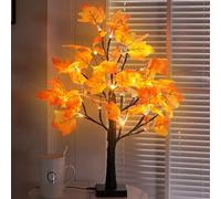 GOEDCH Guirlande Lumineuse Feuille d'érable: 24 LED Décoration d'automne Guirlande Lumineuse Feuille d'érable 60 cm Fonctionne avec USB ou Piles Parfait pour Thanksgiving et Noël
