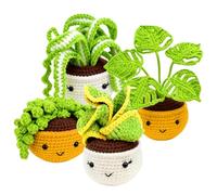 GOEDCH Kit de crochet pour débutants : kit de crochet 4 pièces, kit de démarrage au crochet avec tutoriels vidéo étape par étape, kit de crochet avec instructions (français non garanti), débutants