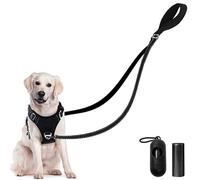 GOEDCH Laisse double de 12 m pour 2 chiens : double laisse réfléchissante avec sac poubelle, pas d'enchevêtrement, laisse robuste en nylon pour chien, double laisse pour chien à coupler pour chiens de