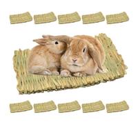 GOEDCH Lot de 10 tapis d'herbe pour petits animaux : 28 × 20 cm Jouet à mâcher pour animaux, tapis d'herbe de lapin, tapis d'herbe naturel tissé à la main sûr, durable et sûr Tapis d'herbe pour petits