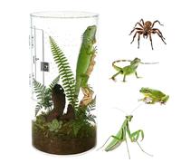 GOEDCH Terrarium Cylindrique en Acrylique 6×6×12 Pouces : Construction Stable à 360° Panorama, Boîte pour Reptiles et Faune, pour l'Élevage et l'Observation de Petits Animaux