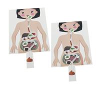Gogogmee 2 Ensembles Modèles DIY du Système Digestif Humain Kit Éducatif de Bricolage Scientifique pour Garçon Fille Activité Manuelle Pédagogique pour Apprentissage et Exploration