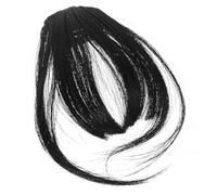 Gogogmee 2 pièces Fausse Frange Clip-in Naturelle pour Femmes Postiche Invisible et Ajustable Accessoire Cheveux Volumineux et Lisse Couleur Naturelle avec Contours