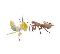 Gogogmee 2 Pièces Figurines Mantes Religieuses Réalistes Plastique Modèles Dinsectes pour Éducation Scientifique et Décoration de Jardin Jouets Dexploration Naturelle