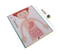 Gogogmee 4 Ensembles Modèle Système Digestif Humain Éducatif Science Expérimentale pour Développement Précoce Stem et Apprentissage Interactif Garçon Fille