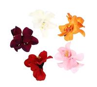 Gogogmee 5 Pièces Clip Fleur Artificielle Double Accessoire Cheveux Femme pour Fête Hawaïenne