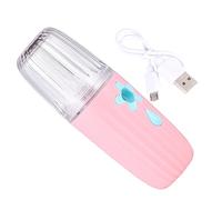 Gogogmee Brumisateur Nano Portable USB 45 Utilisations Hydratant Visage de L'Huile Hydratation Rapide Vibration Haute pour Toutes Peaux