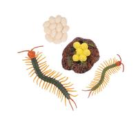 Gogogmee Figurine Éducative Cycle de Vie de Scolopendre pour Apprentissage Nature Éveil Développement Garçon Fille Support Pédagogique Arthropodes