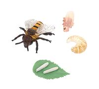 Gogogmee Figurines Cycle Vie Abeille Plastique Cognitif Educatif pour Garçon Fille Modèle Simulation Abeille Kit Apprentissage Scientifique sans Bords Coupants