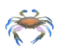 Gogogmee Maquette de Crabe en Plastique Coloré, Figurine D’Organisme Marin Solide, Éducatif pour Garçon et Filles, Décoration Marine Miniature pour Chambre et Jardin, Modèle Animal