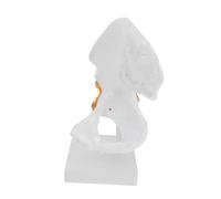 Gogogmee Modèle Fonctionnel de Hanche PVC Fémoral Réaliste Squelette pour Formation Médicale et Enseignement Anatomique