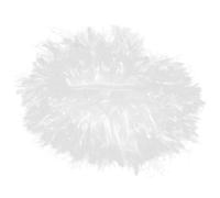 Gogogmee Postiche de Grand-Père pour Garçon et Filles Postiche Blanche en Fibres Légères Mèches Bouclées Accessoire de Costume Scientifique pour Fête Costumée et Cosplay Taille Unique