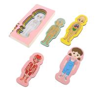 Gogogmee Puzzle Anatomique Bois Stem pour Garçon Fille Jeu Éducatif Structure Corps Humain Montessori Interactif pour Garçons et Filles Apprentissage Précoce de l'Anatomie