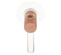 Gogogmee Terrarium Mural Verre avec Support Bois Pot Hydroponique Suspendu sans Clous Vase pour Plantes Intérieur Fleurs Uniques Décoration Murale Salle de Bain et Bureau