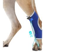 GoGoPaw Bretelles de phalange pour chien pour hyperflexion des phalanges causées par des lésions du nerf sciatique, une déformation de la flexion carpienne - Deux sangles de verrouillage pour un