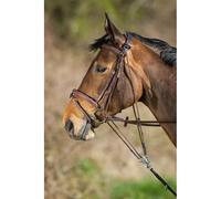 Gogue pour cheval HFI Marron Poney