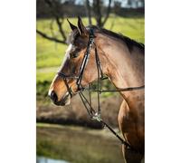 Gogue pour cheval HFI Noir Full