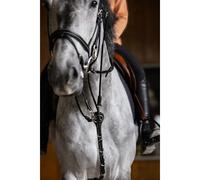Gogue pour cheval HFI Noir Poney