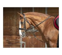Gogue pour cheval Norton Pro Noir Cheval