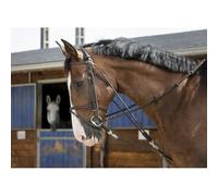 Gogue pour cheval Riding World Marron Shetland