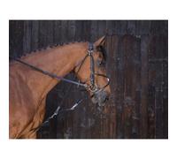 Gogue pour cheval Riding World Noir Shetland