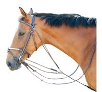 Gogue T de T 02 Marron Cheval