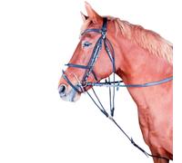 Gogue T de T 02 Noir Cheval