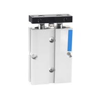 GOHAPY Vérin pneumatique à double tige, course de 10 à 200 mm, alliage d'aluminium, alésage TN 10, 16, 20, 25, 32 mm(35MM*16MM)